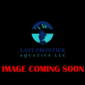 Copper Aquarium Test Kit