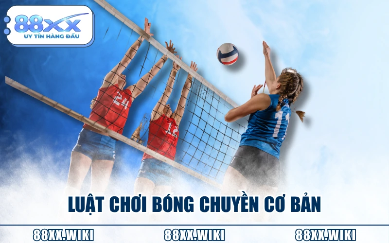 Luật chơi bóng chuyền cơ bản